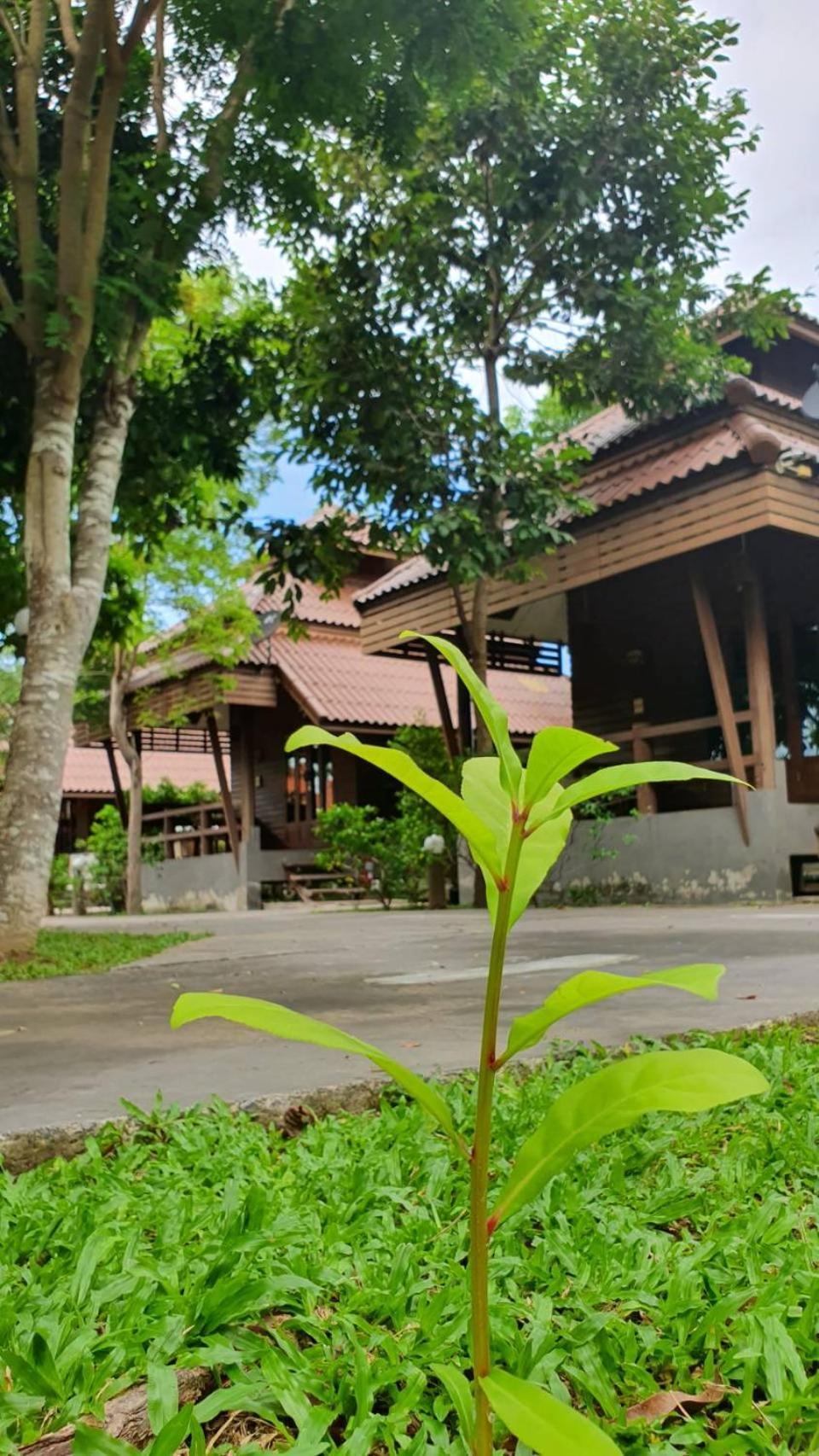 Ruenpruksa Resort Prachuap Khiri Khan Zewnętrze zdjęcie